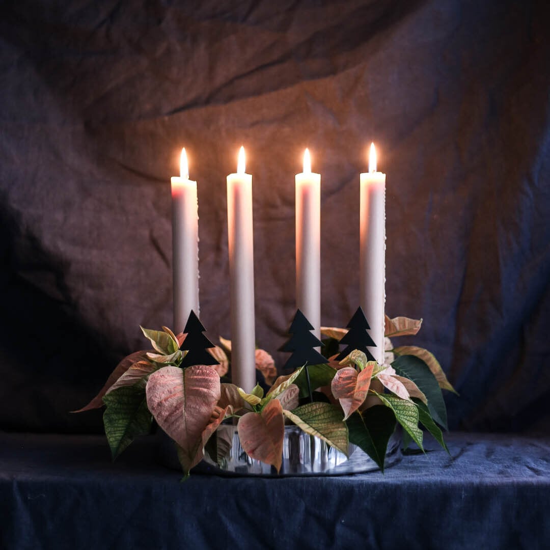 Jubel Advent